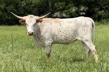 011/4 BELIEVE IN MIRACLES 41/5 X EXP