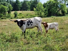 MM Lady G Is 2Sweet Hangin On 2U bull