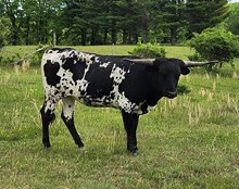 Believin In Faith Lynn