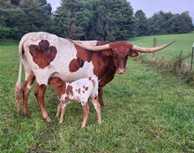 Maxim Trust Her Heart/ KCCI Hangin On 2U