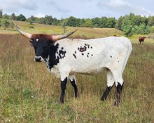 MM Hangin' On2U Beautiful