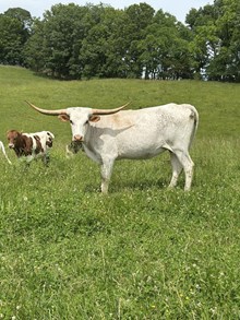 Don't Stop Pretty Lady 