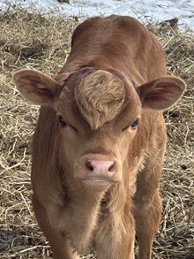 EIL DONALD'S CODE 47