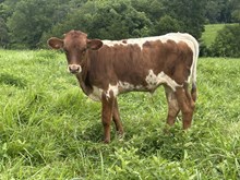 Rusty's Profited Journey