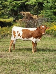 MM Hangin On 2 Lady G