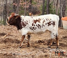 MM Hangin On 2U Pretty