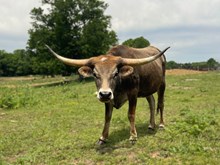 RR Catch’s Shauna Bell