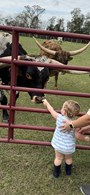 Feeding Longhorns is fun for any age!