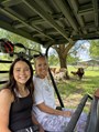 Amazing opportunity to meet the longhorns and see them up close!