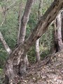 The journey around the lake brings surprises 