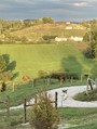 Come visit our ranch!