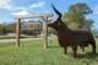 Welcome to Aussie Acres!